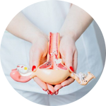 Bulky Uterus 